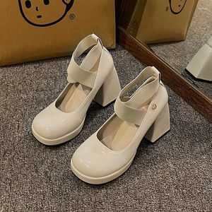 Klänningskor Kvinnor Pumpar 2023 Spring Autumn Ankle Straps Retro Mary Jane Round Toe Women's Platform Chunky High Heels