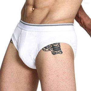 Underpants 2023 homens algodão tanga hombre sexy roupa interior cuecas diárias calcinha bolsa de respiração underware lingerie sólida string homme