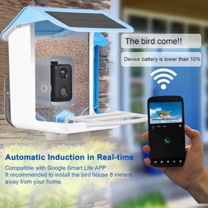 Dekoracje ogrodowe Solar Smart Bird Feeder z kamerą 1080HD Nocne widzenie AI rozpoznawanie gatunki połączenie Auto przechwytywanie 230925