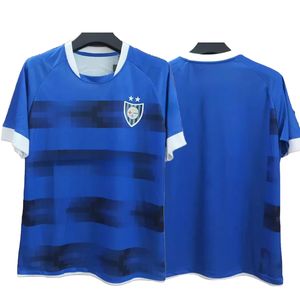 23-24 Huachipato Customized Thai Quality soccer jerseys kingcaps Design Your Own dhgate Discount 3 LORCH 7 HOTTO 45 PULE 25 LEPASA 16 MONARE 4 TIMM 24 MATROSE wear