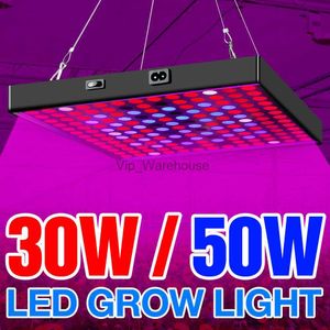 Grow Lights LED Grow Light Full Spectrum Bulb LED Plant Lamp 30W 50W Indoor Growing Lamps LED Phyto Lamp For Seedling Greenhouse Lighting YQ230926