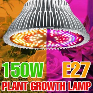 Grow Lights LED Phyto Lamp Plant Grow Light E27 LED frön Flower Growth Lamp växthus Plantering Belysning 220V Hydroponic System Grow Box YQ230926