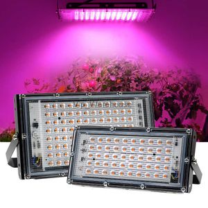 Grow Lights LED Grow Light Spettro completo 50W 100W 220V Phytolamp per piante Outdoor Indoor Serra Semi di fiori Grow Tent Box Lampade a LED YQ230926