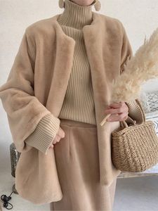 Kvinnors päls plyschjackor vinter elegant faux kappa hösten varm streetwear mink överrock kvinnlig lös casual