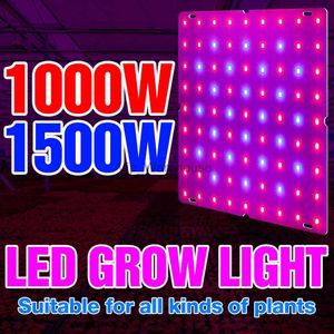 Grow Lights Inomhus LED Phyto Lamp Full Spectrum Grow Light 1000W 1500W växtkula kvanttavla ledde fytlampblommor plantor växt växer tält yq230926