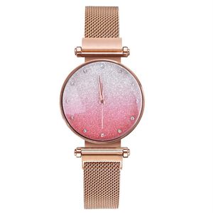 Hela mode enkla urtavla kvinnor armbandsur kvarts glansigt nät rem gudinna klockor trend magnet spänne damer watch229l