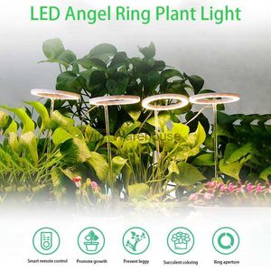 Whod Lights LED LED Światło Pełne spektrum Lampa Phyto Lampa Rosnący Ściągnięcie LED LED Anioł Ring Lampa roślinna USB Hydroponiczne nasiona kwiatowe Fitolamp YQ230926