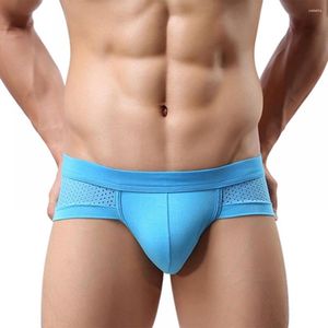 Underbyxor mäns sexiga mesh modal triangel underkläder andningsbara fasta trosor shorts män trosor underkläder