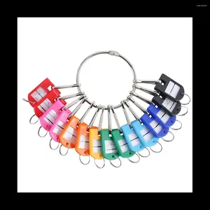 Keychains Portable Metal Ring Key Organizer With 20 Spring Hooks & Tags And Label Window