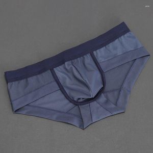 Underpants Men's Triangle Pants Double Layer Sexy Low Waisted Mesh Underwear Thin Antibacterial Fiber