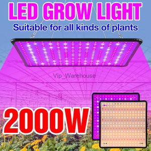 Grow Lights Growth Light LED Full Spectrum Phyto Veg Lamp 220V Plant Grow Panel Lamp Led Hydroponics Flower Growing Tent Box 2000w Fitolampy YQ230927