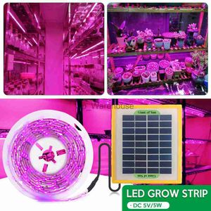 Grow Lights Solar LED Grow Light Strip Full Spectrum Phytolamp 5V SMD 2835 Växtillväxtljus för växter Frö Blomma växthus Hydroponic YQ230927