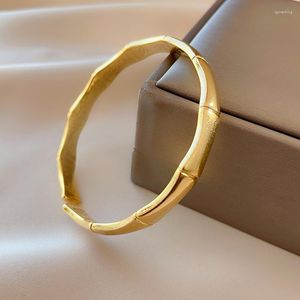 Link Bracelets Alluvial Gold Plated Bamboo Bangle Bracelet Ladies Chunky African Wide Bangles Adjustable Titanium Steel Bridal Wedding