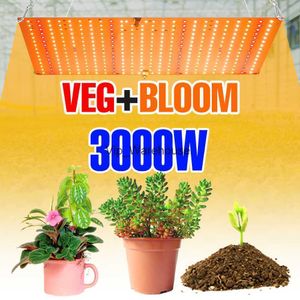 Grow Lights 3000W Led Grow Light Phyto Lamp For Plants Bulb Full Spectrum Quantum Board Hydroponics Growing System Greenhouse Flowers Seeds YQ230926 YQ230926