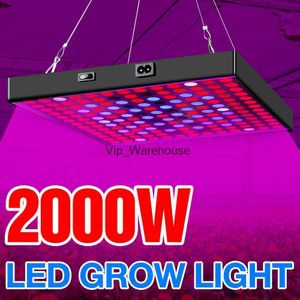 Rosną światła 2000 W LED Rośliny Grow Light 3000 W Phytolamps dla sadzonek żarówka 220V kwantowa tablica wzrostu namiotu wzrostu Fitolampy US UK UK Plug YQ230926 YQ230926