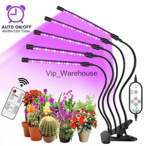 Wachstumslichter Goodland LED-Wachstumslicht USB-Phytolampe Vollspektrum-Phytolampe für den Gartenbau mit Steuerung für die Blüte von Pflanzen im Innenbereich YQ230926 YQ230926