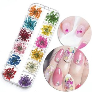 Nail Art Decorations 1 5PCS 12 Color Box 3D Dried Flower Decoration Natural Floral Mixed Dry DIY Jewelry Charms UV Gel Polish 230927