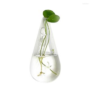 Vases Wall-Mounted Glass Vase Planters Enhance Decor With 2PCS Elegant Hanging Plant Container Stunning Display For Home Living Room