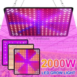 Wachstumslichter Quantum Board LED PhytoLamp Vollspektrum 2000W Pflanzenlicht für Zimmerpflanzen Blumengewächshaus Wachstumslampe US / UK / EUPlug YQ230927