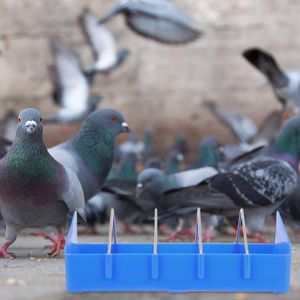 その他の鳥の供給2PCSプラスチックピタンフィーダーラックフードディッシュディスペンサーツールスロットコンテナ鶏肉チキンダックオウム用