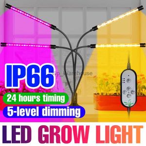 Grow Lights USB LED Grow Light Phytolamp For Plants Lights Full Spectrum Phyto Lamp Greenhouse Lighting Hydroponics Plant Bulb Flower Seeds YQ230927