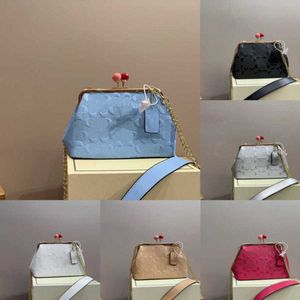 Trendy Cbag Cereja Clip Bag Rosa Designer Bolsas Mulheres Bolsa Cadeia Crossbody Luxurys Bolsas Senhora Vintage Impressão Azul Bolsa De Ombro Bolsa 230814