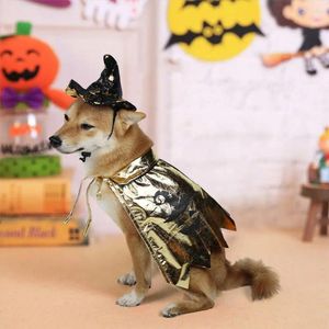 犬のアパレルライト非強制ペットコスチュームスタイリッシュな魔女ケープハットハロウィーンパーティー装飾祝祭猫ペットのためのセット