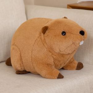 Bonecas de pelúcia 45/60cm Kawaii Beaver Rat Plushie Brinquedos Hobbies Desenhos Animados Animal Recheado Bonecas de Brinquedo para Crianças Meninos Bebê Aniversário Presente de Natal 230927