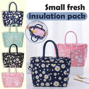 Saco portátil à prova de vazamento reutilizável sacolas isolado refrigerador almoço caminhadas grande capacidade zíper piquenique bolsa bolsa storage234s