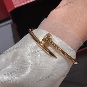 Gold Bracelet Nail bracelet Designer Bangles for Women Mens Stainless Steel Alloy Armband Plated Gold Silver Rose Jewelry Yellow Golden 19 17 21