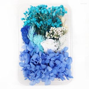 Kwiaty dekoracyjne mieszane naturalny suszony materiał DIY Art Floral Decors Kolekcja Gift Craft Dekoracja Dekoracja Wciśnięta