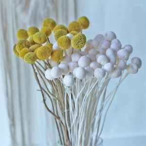 Decorative Flowers 20PCS Preserved Billy Button Dried Bouquet Artificial Plants Ball Wedding Home Decor Vase Filler Room Decoration