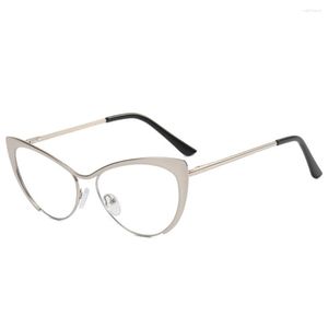 Solglasögon läsarglasögon läser glasögon stor ram kvinnor ljus blockering kontor levererar lyxig chic design mode pendent