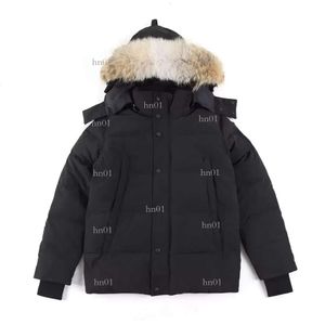 Hochwertige Herren-Daunenjacke, Gänsemantel, echtes großes Wolfsfell, kanadischer Wyndham-Mantel, Kleidung, Modestil, Winter-Oberbekleidung, Parka283