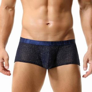 Underpants Mens Boxer Briefs Mesh Soft Sexy Breathable Underwear Stretch Boxershorts Sheer Shorts U Convex Pouch Panties