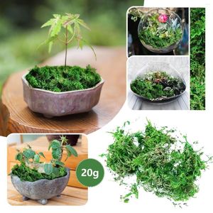 Decorative Flowers 20/50/100g Artificial Moss Eternal Life Green Plants Fake Grass Mini Landscape Decoration Home Decor Fairy Garden Crafts