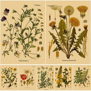 Paintings Plant Flower Study Retro Poster Botanical Prints Posters Kraft Paper Vintage Home Living Room Decor Aesthetic Art Wall Painting 230928