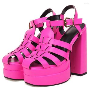 Sandali Gladiatore Sexy Scarpe estive da donna Piattaforma Tacchi alti di lusso Rosa Bianca Party Dance Stripper Donna di grandi dimensioni