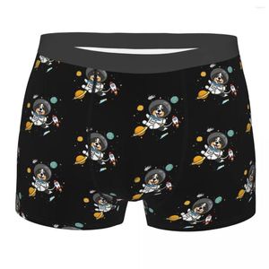 Underbyxor Bernese Mountain Dog Panties Shorts Boxer Briefs Male Underwear Sexy