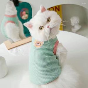 Costumi per gatti Vestiti per animali domestici Gattino Cucciolo Gilet carino Sfinge Cane di piccola e media taglia Dolce Pullover Camicia barboncino Yorkshire