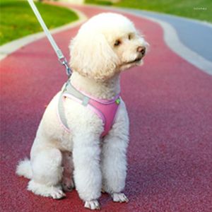 Hundbilsäte täcker utomhusvandringskatt och justerbar säkerhetsbälte krage väst bly rem mjuka andningsbara husdjursmaterial
