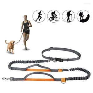 Hundhalsar 1 st justerbara händer Kattfria Running Walking Jogging Pet Lead Leash Midjebältet Bröstband Gift Traction Rope Pets leveranser