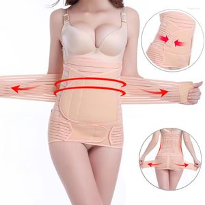 Intimo modellante da donna 3in1 Pancia/addome/bacino Cintura dopo il parto Recupero del corpo Shapewear Cinchers Trainer Corsetto Fasce per la pancia