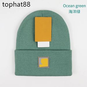 2023 Mens beanie 클래식 디자이너 carhart 봄 가을 겨울 핫 스타일 모자 남미 남성과 여성 패션 유니버설 니트 모자 가을 야외 해골 모자 N1