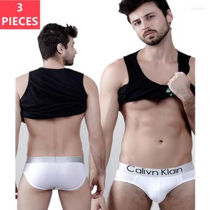 Underpants 3pcs/lote Calivn Klain Roupa Men Men's Panties Bolsa 3D respirável Slorpos de bolsa de baixo para masculino Briefro