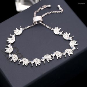 Braccialetto in cristallo trasparente Elefante Animale Bracciali scalabili Braccialetti da donna in rame con zirconi Goccia di gioielli contratta