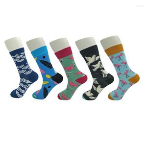 Herrensocken für Herren, bunt, fröhlich, lässig, Crew, Baumwolle, für alle Jahreszeiten, große Größe EUR 39–46 oder US 7–10,5, Artikelcode HSAG7