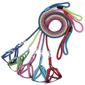 Hundhalsar mode nylon koppel träning promenad husdjur sele grossist och detaljhandel rosa stora eller små hundar sele -6 färger