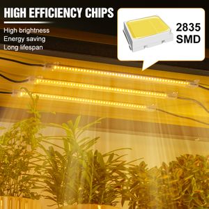 LED Grow Light 220V Full Spectrum Phyto Lamp USB Indoor Hydroponics Plant Light Dimmable For Seedlings Flower Seeds Growing Tent