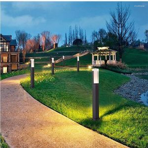 Waterproof LED Lawn Lamp 10W COB Garden Light Exterior Bollard Outdoor Floor Courtyard Road Lighting